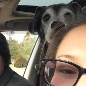 Meet your Posher, Kylee